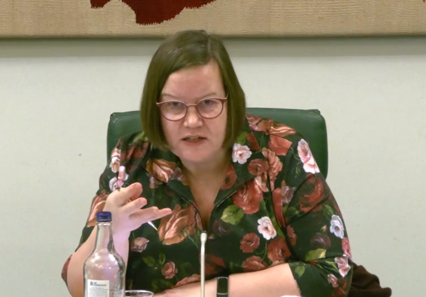 Meg Hillier MP speaks at the Treasury Select Committee, 13 January 2026